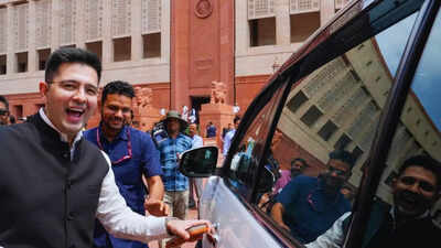 'Interesting thought': Raghav Chadha hints at own political party | Delhi News