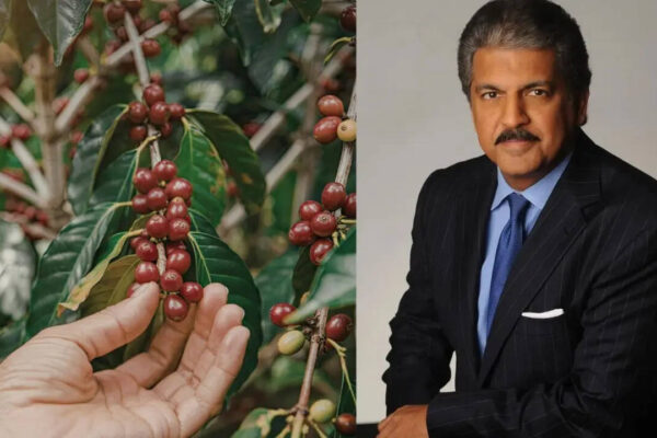 Why is Anand Mahindra still emotionally connected to a 60-acre coffee plantation from his childhood |