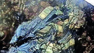 Varma goes down protesting: 'Asked to answer the unanswerable' | India News