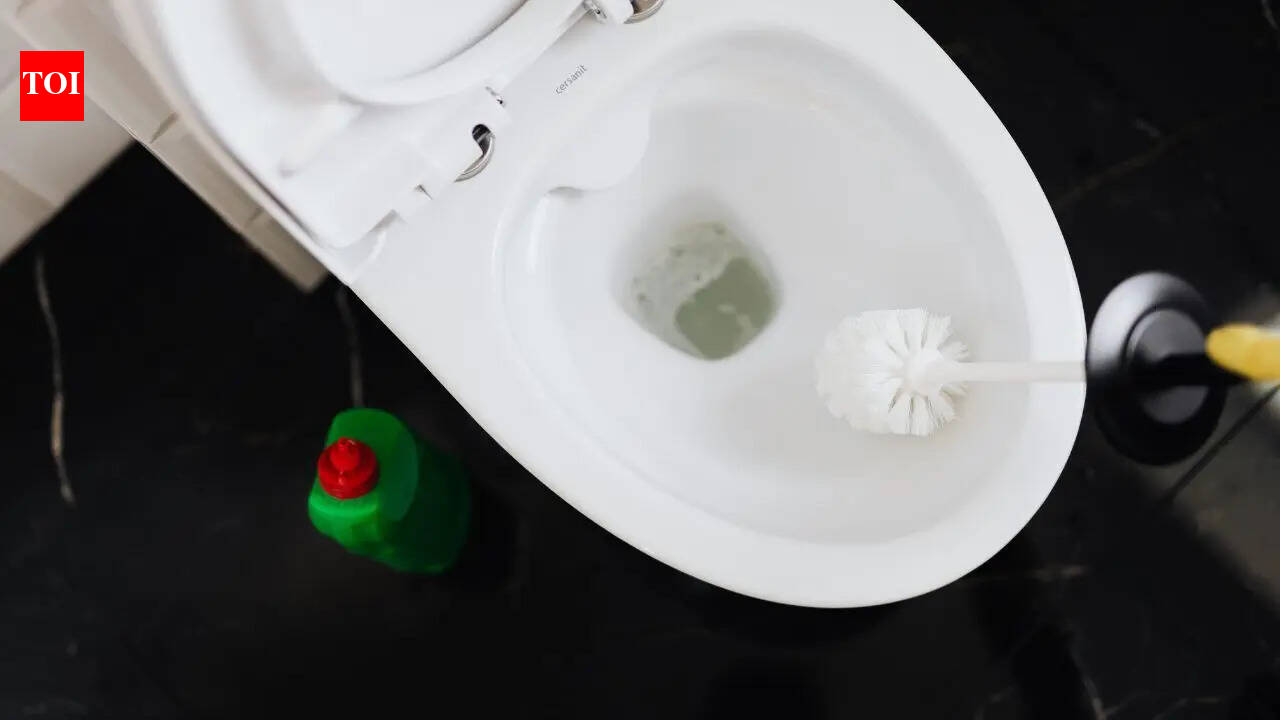 Should you close the toilet lid before flushing: The right way to maintain toilet hygiene |