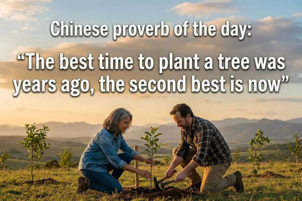 Chinese proverb of the day: “The best time to plant a tree was years ago, the second best is now” |