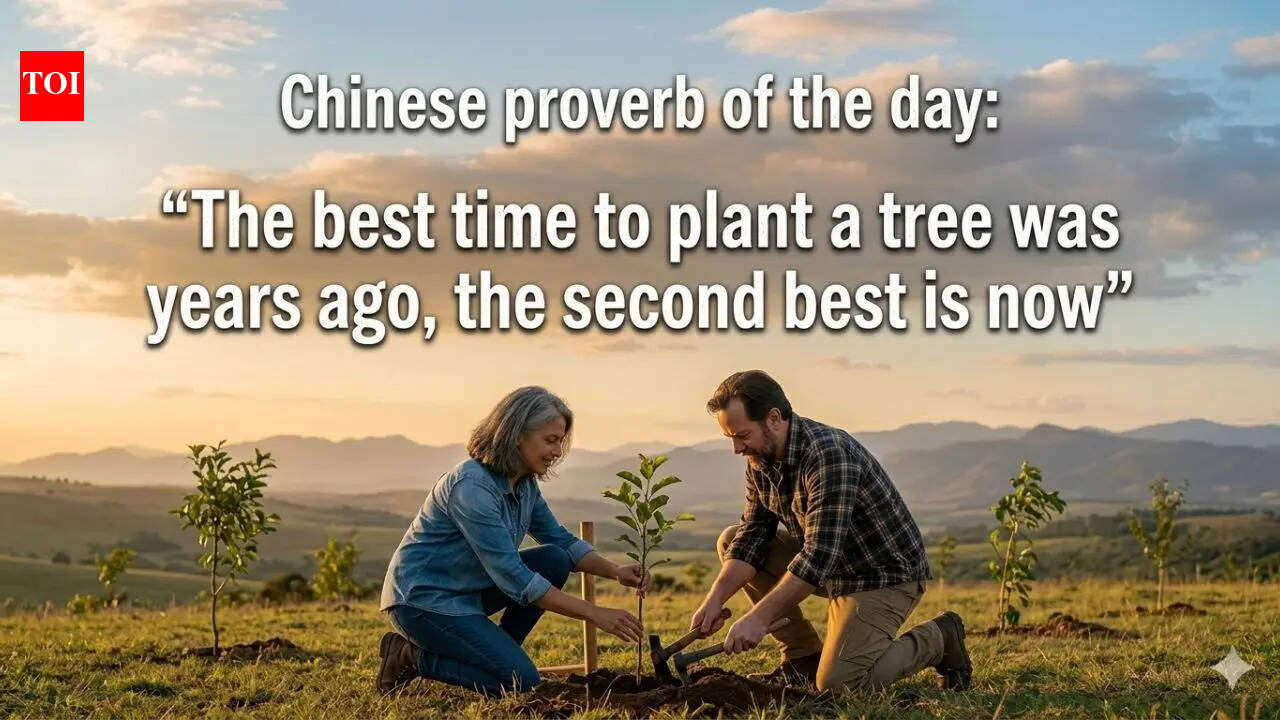 Chinese proverb of the day: “The best time to plant a tree was years ago, the second best is now” |