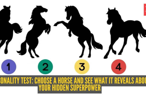 Personality test: Choose a horse and see what it reveals about your hidden superpower |