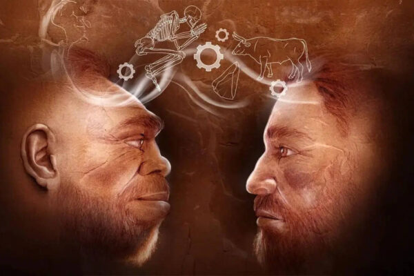 Scientists uncover 110,000-year-old evidence in Israel of humans and Neanderthals working together |