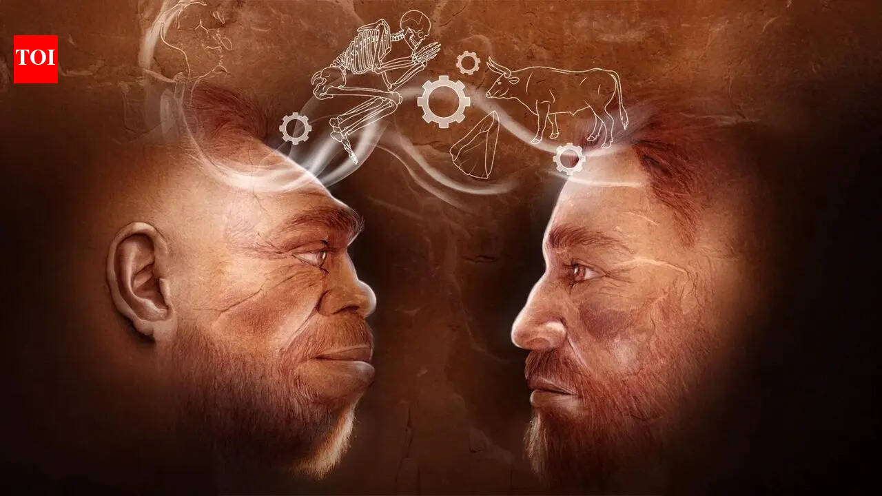 Scientists uncover 110,000-year-old evidence in Israel of humans and Neanderthals working together |