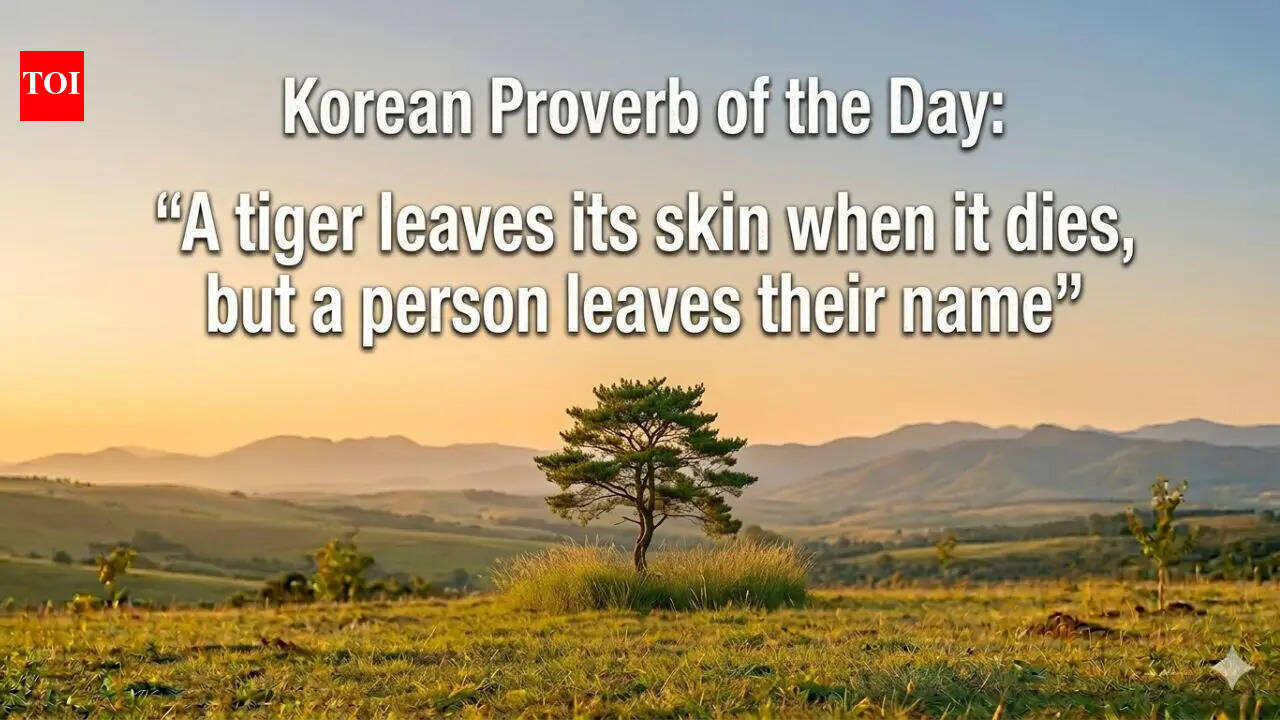 Korean proverb of the day: “A tiger leaves its skin when it dies, but a person leaves their name” |