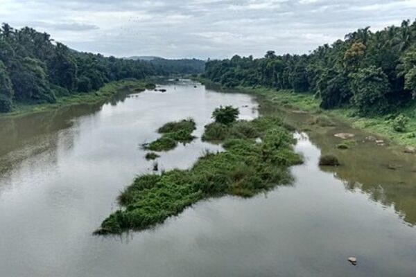 Kunthipuzha: The silent river of India flowing through Kerala’s untouched wilderness |