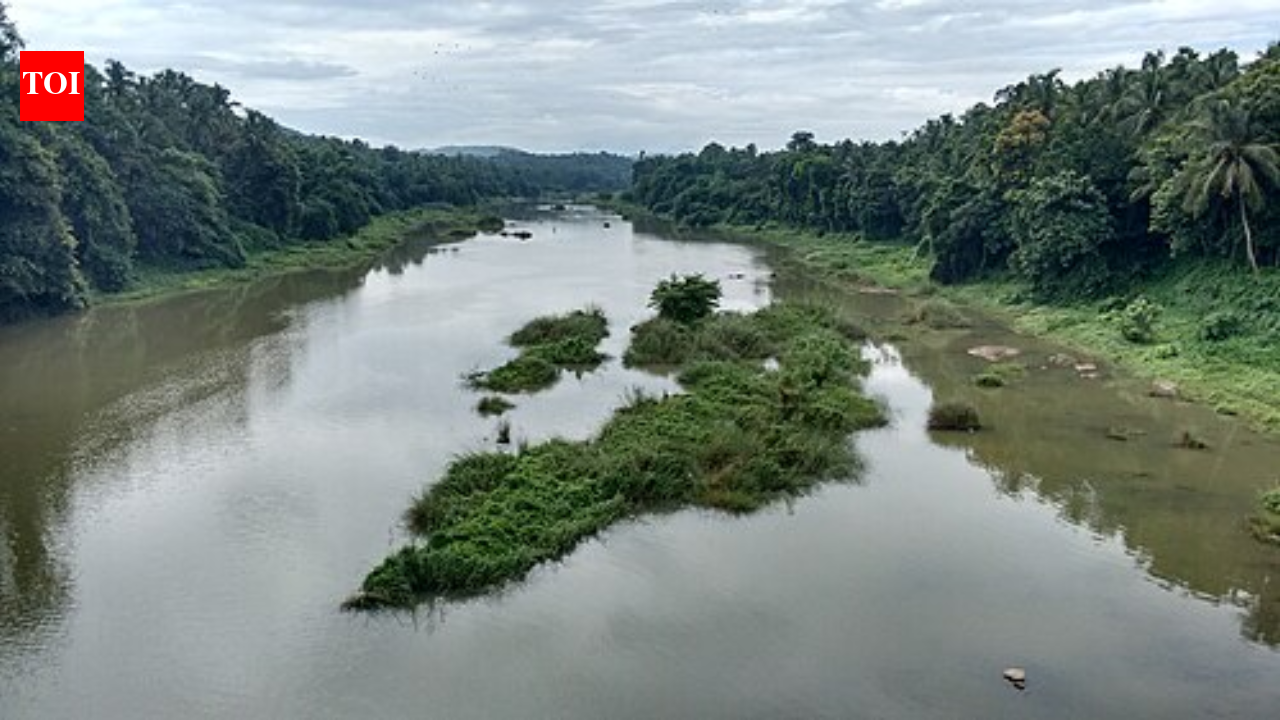 Kunthipuzha: The silent river of India flowing through Kerala’s untouched wilderness |