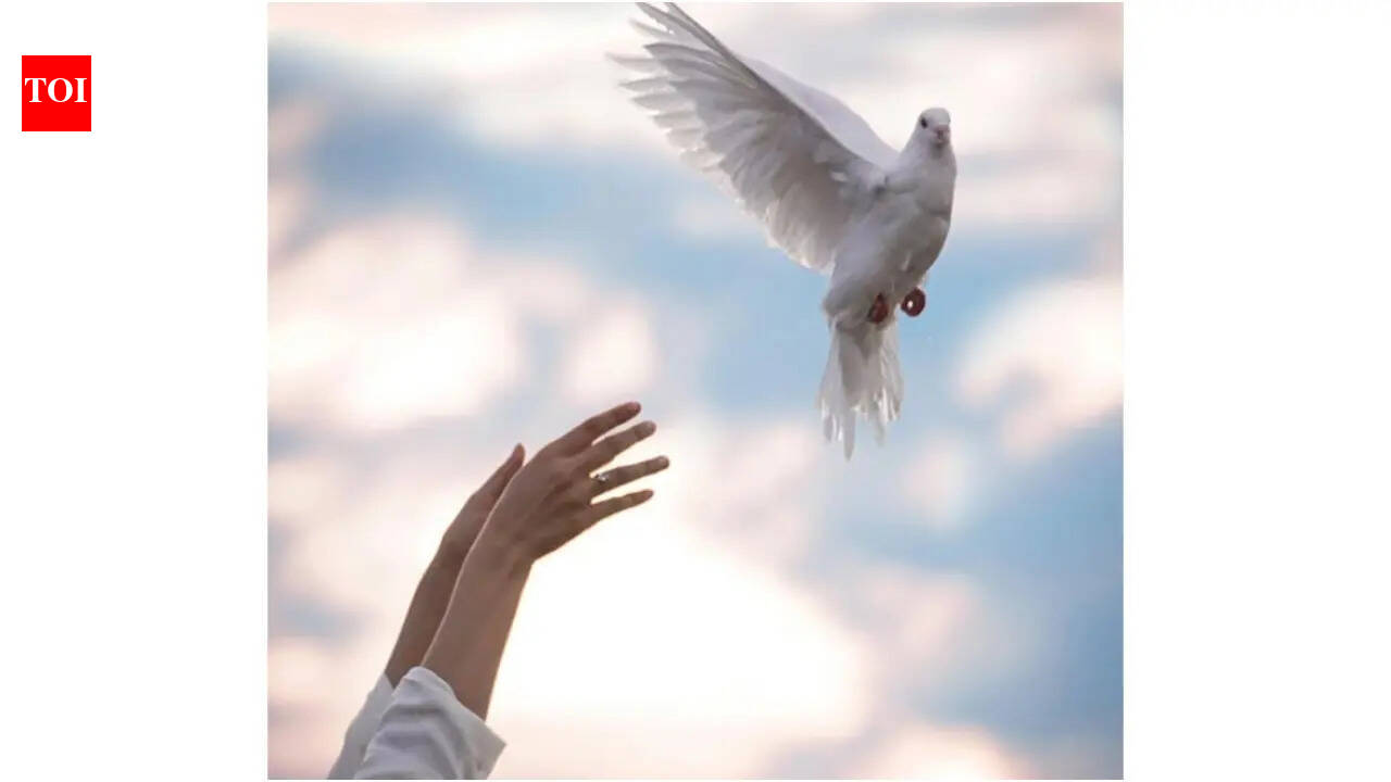 Emraan Hashmi and Disha Patani's 'Awarapan 2' set for August 14 theatrical release | Hindi Movie News