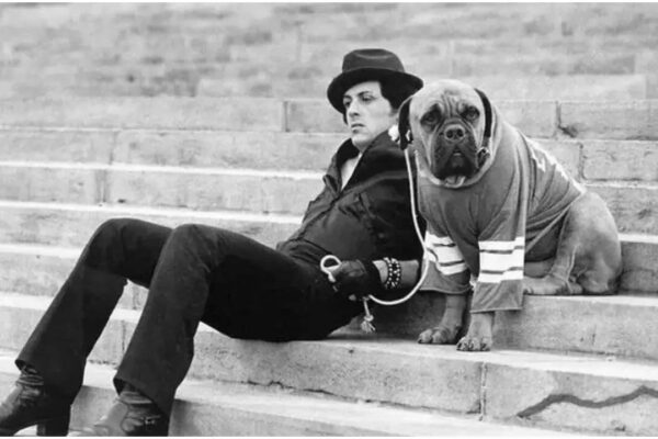 Before Rocky’s success, Sylvester Stallone sold his dog for $40 for survival: ‘We were both hungry, and living in a flophouse’ | English Movie News