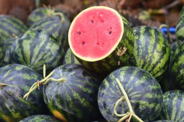 How to make watermelon ice-cold in 10 minutes without a refrigerator |