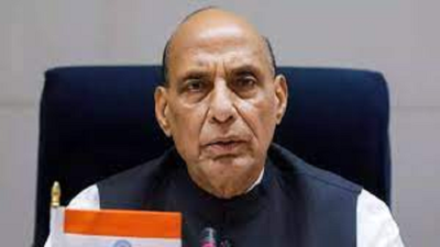 Rajnath Singh: 'It is possible': Rajnath says India may 'play its role' in bringing peace in West Asia | India News