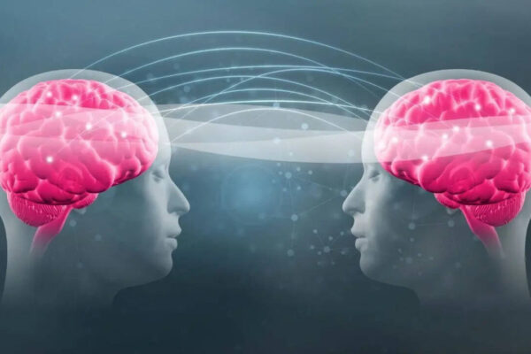 ‘Cutest thing ever’: The viral ‘Twin Telepathy Challenge’ is winning hearts on the internet |