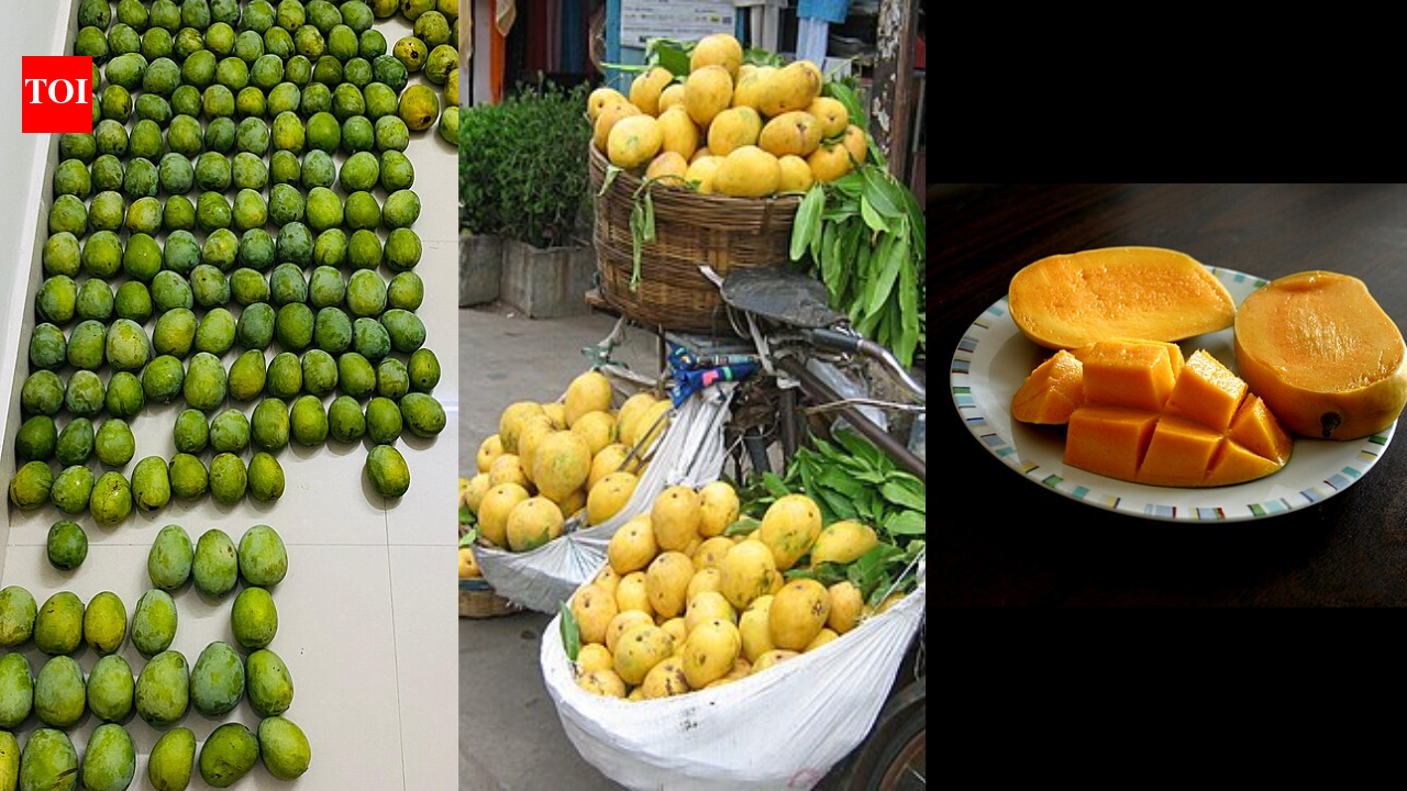 Lesser-known mango varieties in India beyond Alphonso and how they differ in taste and texture |