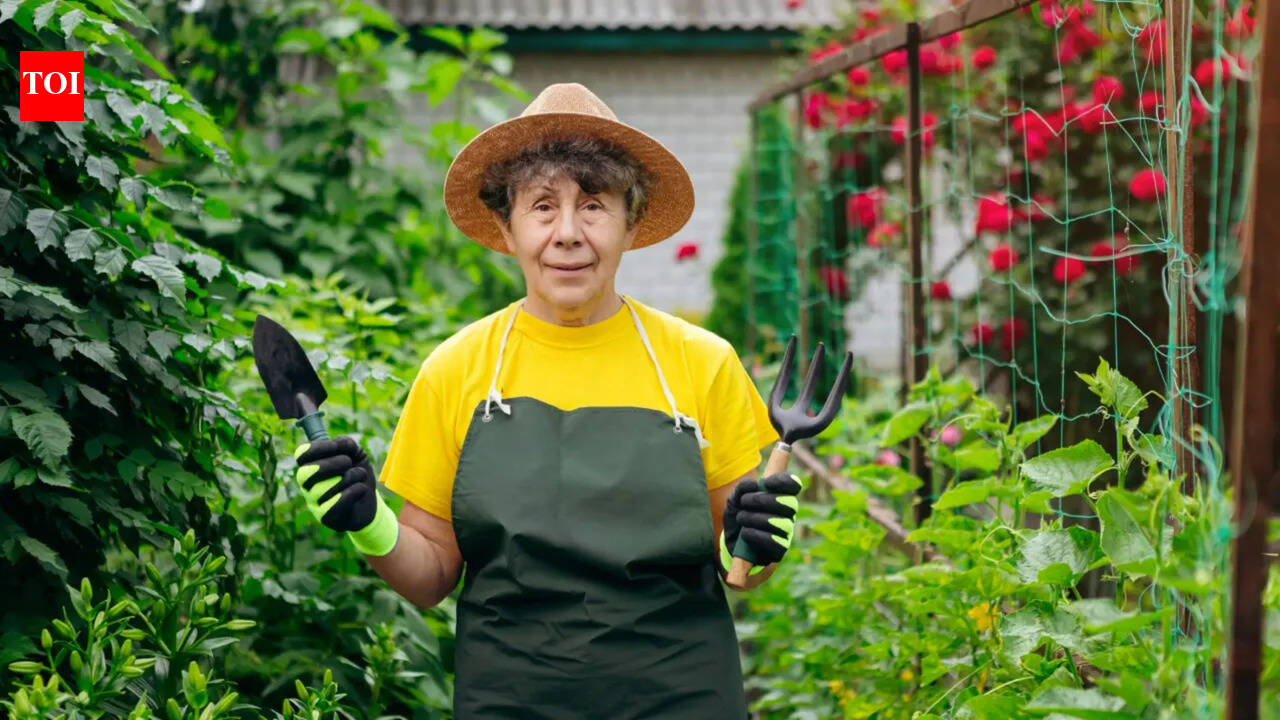Gardening Tools: Essential gardening tools and their uses: A beginner's guide |