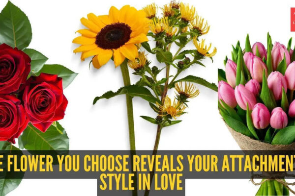 Personality Test: Personality test: Rose, sunflower, or tulip? The flower you choose reveals your attachment style in love