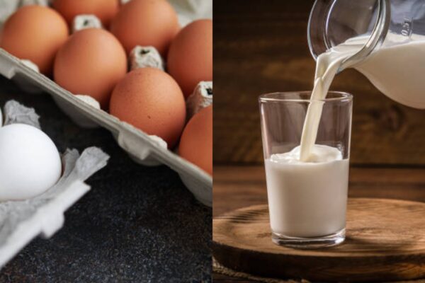 Eggs or milk: Which protein is actually better for your health? |