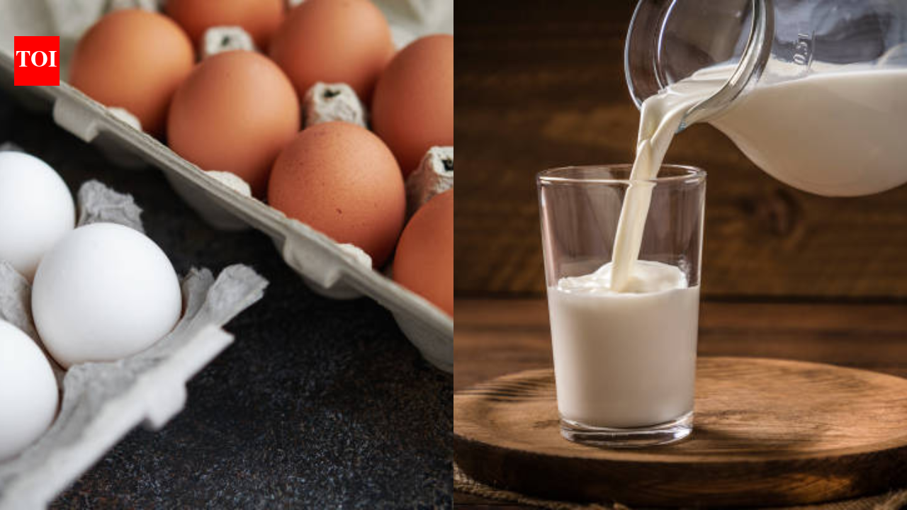 Eggs or milk: Which protein is actually better for your health? |