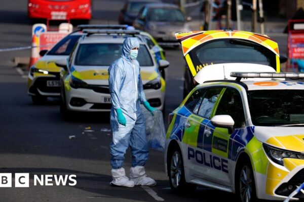 What we know about the stabbings