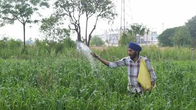 India’s fertiliser output falls to a five-year low in March| Business News