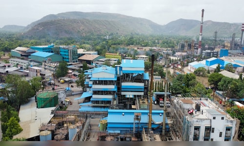 Deepak Nitrite reappoints Maulik Mehta, names Meghav Mehta as Deputy MD