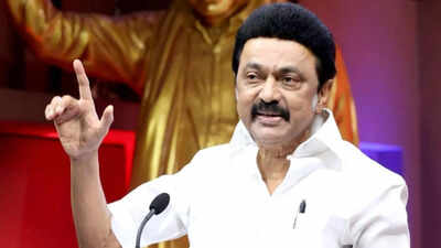 Tamil Nadu Elections 2026: ‘I know my limits’: Tamil Nadu CM MK Stalin plays down national role, projects big win in upcoming polls | India News