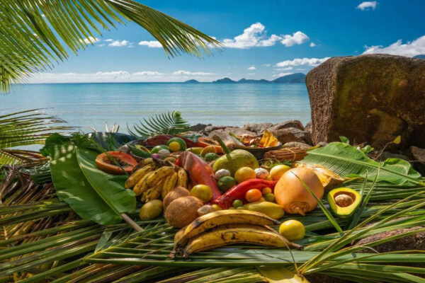 Indian travellers are surprised by this side of Seychelles; it’s Not the beaches