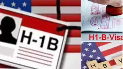 H-1B visa holders harassed by influencers: Immigration attorneys say 'don't open the doors, you are not...'