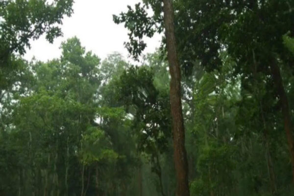 “I plead guilty of that too”, Anand Mahindra pleasantly shocked after seeing this hidden hill station in Jharkhand