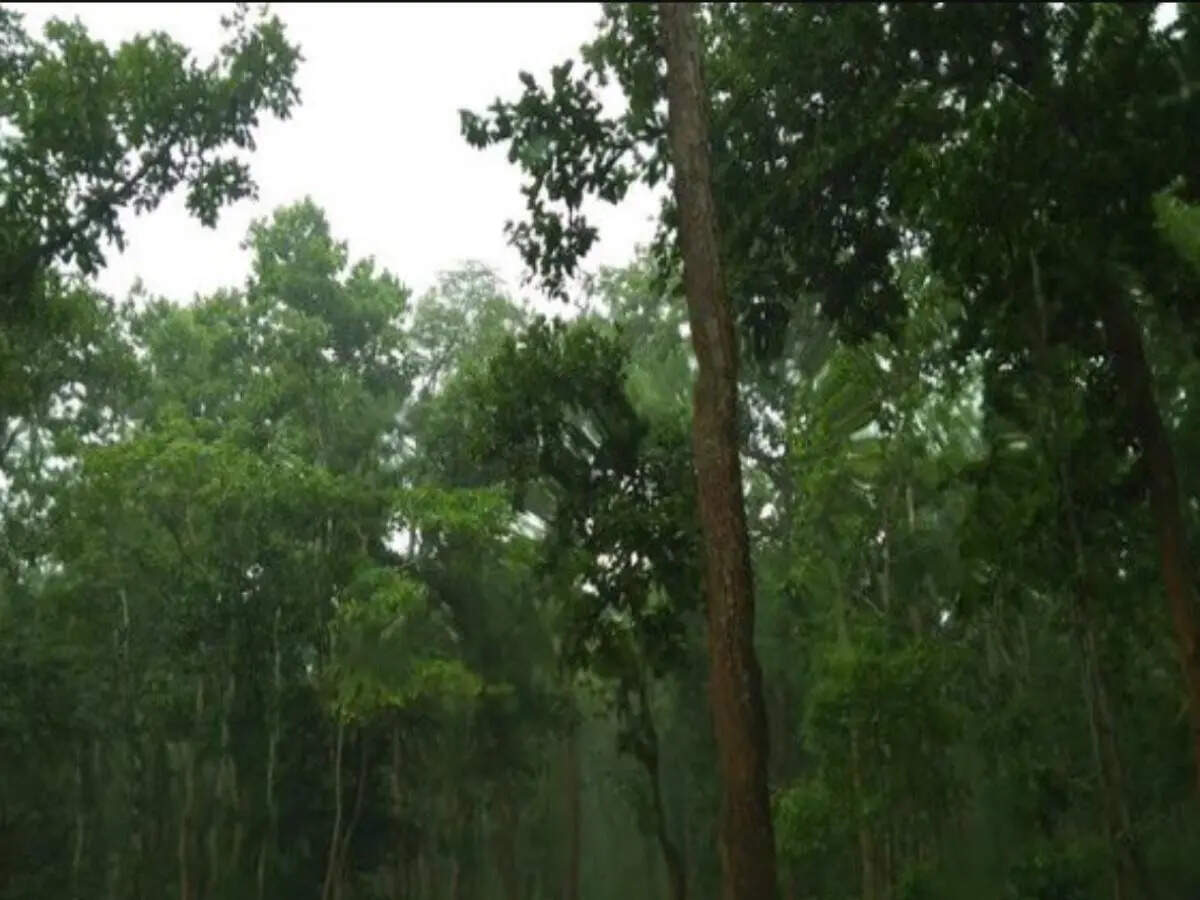 “I plead guilty of that too”, Anand Mahindra pleasantly shocked after seeing this hidden hill station in Jharkhand