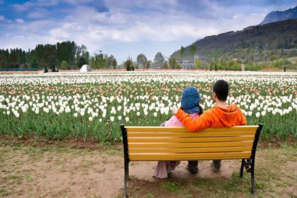 Jammu & Kashmir Weather Update: Travel alert issued in Jammu & Kashmir till April 10, 2026; IMD predicts rain and snowfall