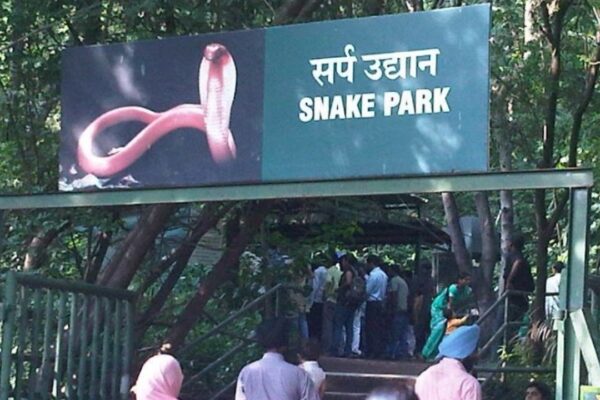 Katraj Snake Park, India: 10 things no one tells you about this tourist destination |