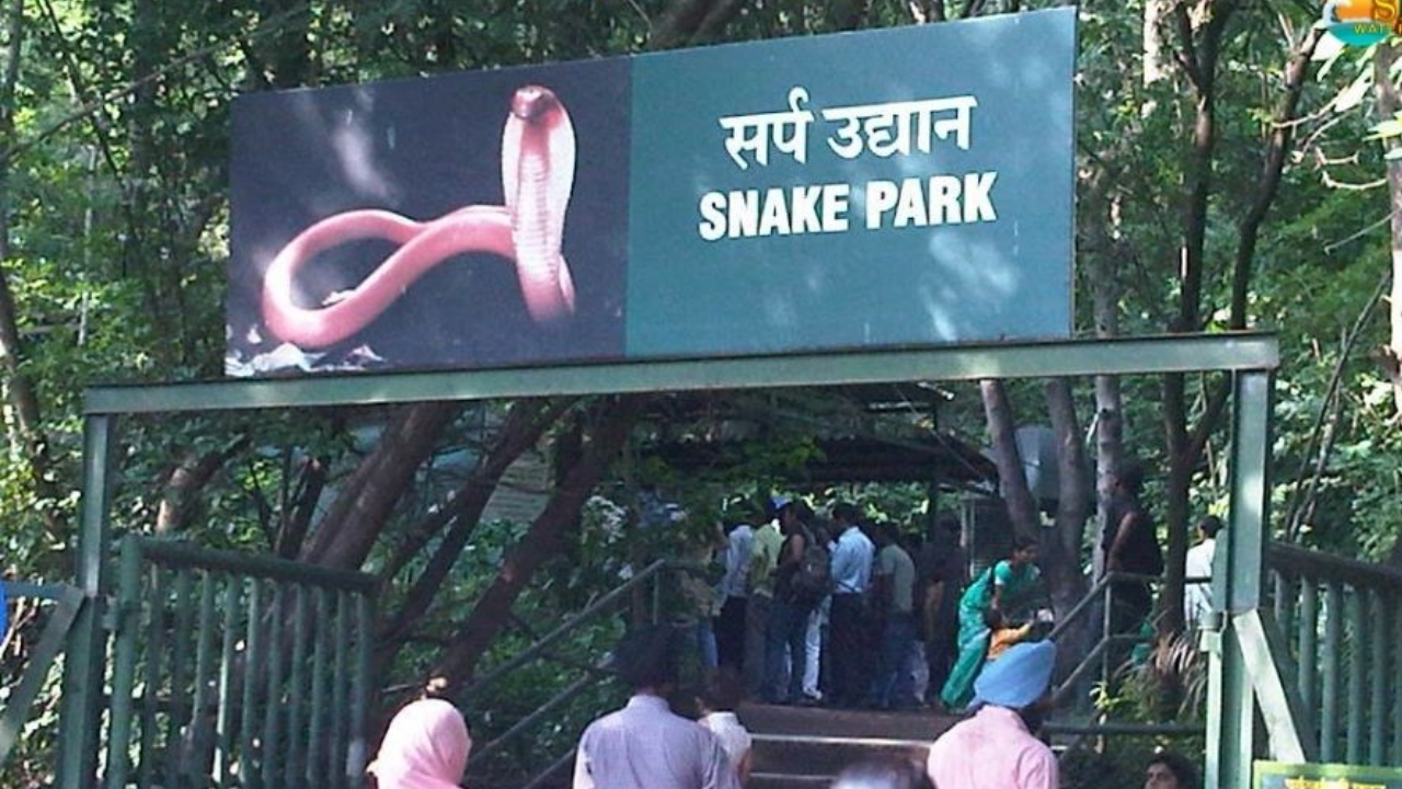 Katraj Snake Park, India: 10 things no one tells you about this tourist destination |