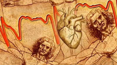 Leonardo Da Vinci drew this heart structure 500 years ago: Scientists may have just solved the mystery that may predict heart disease |