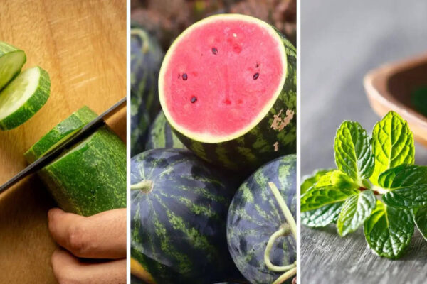 Essential foods to keep you cool all summer long