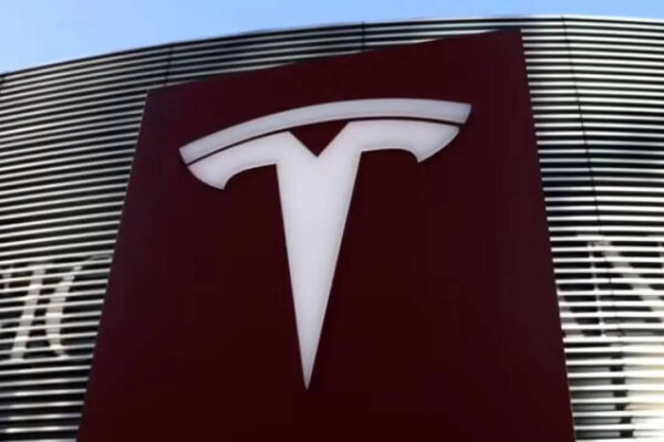 Tesla widens India bet with launch of Model Y L