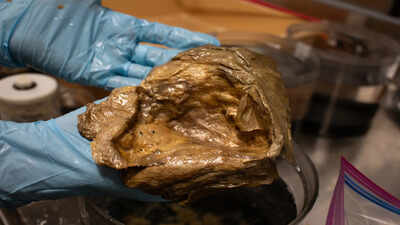 In 2023, deep-sea explorers chasing a golden glimmer on the seafloor found a biological treasure hidden two miles down |