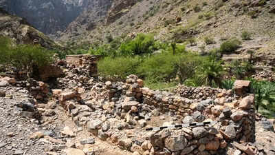Oman Archaeological Discovery: Oman: What began as road construction reveals 3,000-year-old graves and rare Iron Age burial rituals | World News