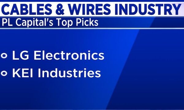 Pick LG Electronics and KEI over Blue Star, advises this analyst