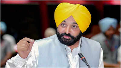 'Fellow MLAs will remain outside': Punjab CM to meet President Murmu over seven AAP RS MPs joining BJP | India News
