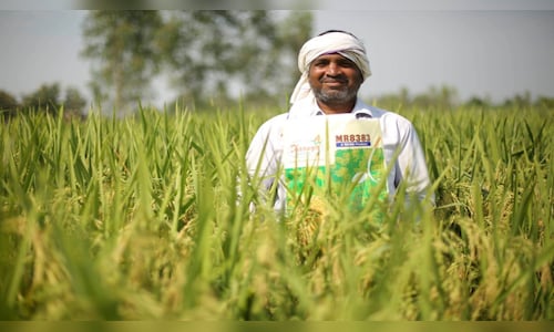 Rallis India Q4 loss narrows to ₹15 cr on better operating performance; declares dividend