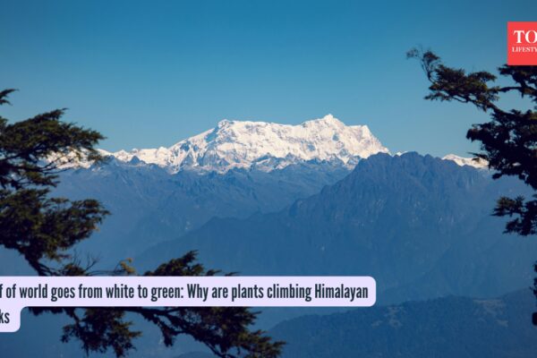 Himalayas Plant Growth: Roof of world goes from white to green: Why are plants climbing Himalayan peaks