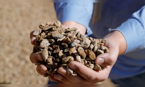 India Inc's overseas equity bets jump 27% in March over February