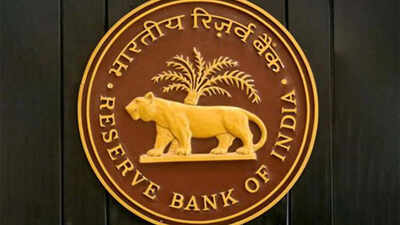 Payment lags can help curb digital fraud: RBI