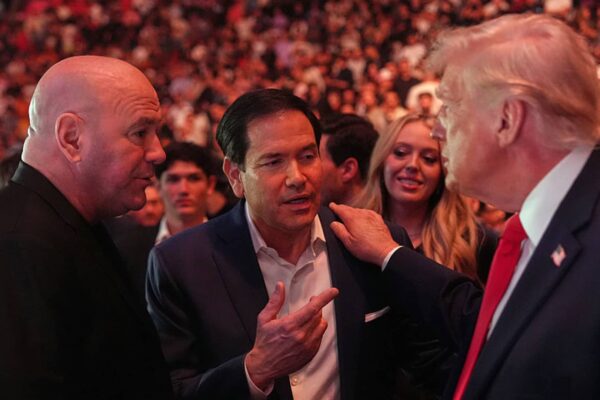 UFC's Dana White urges Trump to reverse gambling tax law