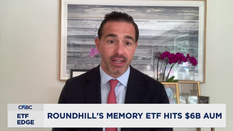 'Biggest bottleneck in the AI buildup' fuels DRAM ETF to record
