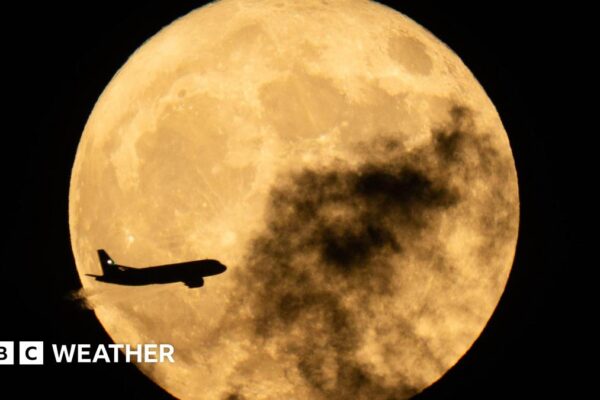 May full Moon: When to see the 'Flower Moon' rise this week