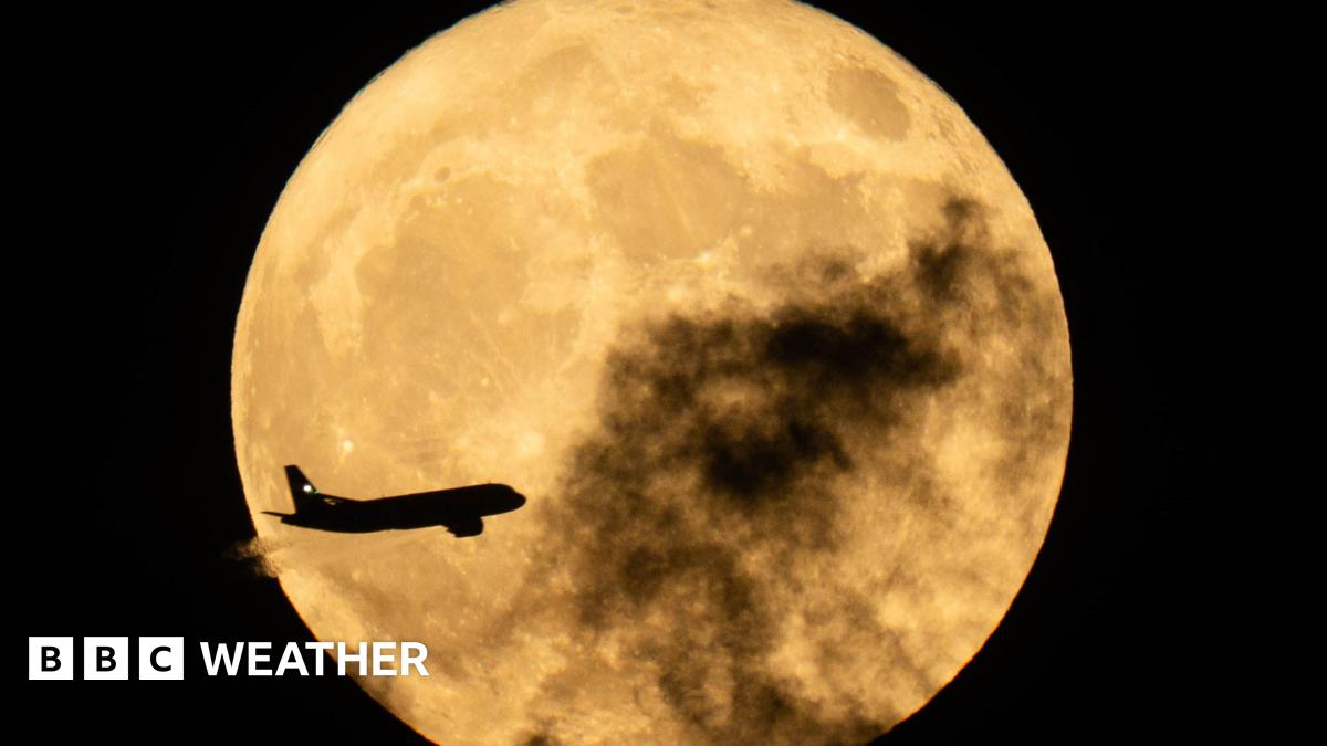 May full Moon: When to see the 'Flower Moon' rise this week