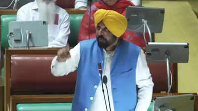 'What a shame': Swati Maliwal accuses Bhagwant Mann of arriving 'drunk' in Punjab assembly | India News