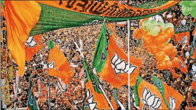 Bjp Road Development: 0 to 3: BJP rides on development road | India News